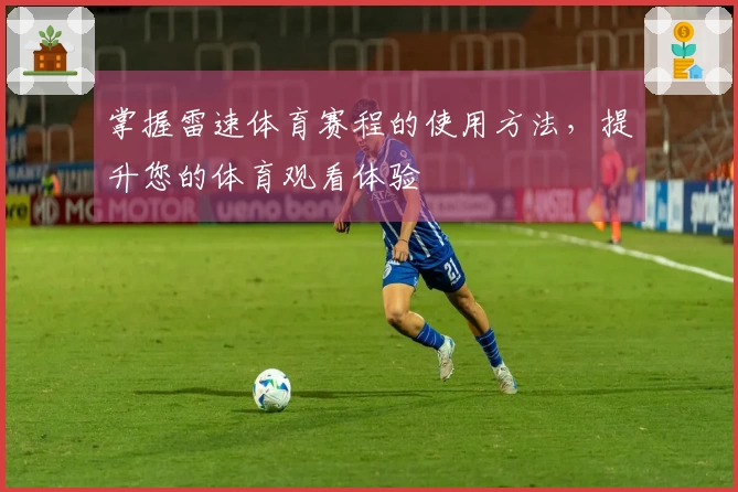 掌握雷速体育赛程的使用方法，提升您的体育观看体验